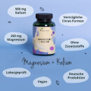 Magn&eacute;sium + Potassium (180 g&eacute;lules)