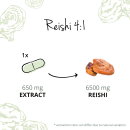 Reishi Extract (120 Capsules)