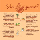 Organic Papaya Extract (120 Capsules)