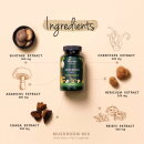 Mushroom Mix Complex (120 g&eacute;lules)