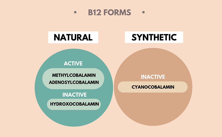 vitamin b12 forms