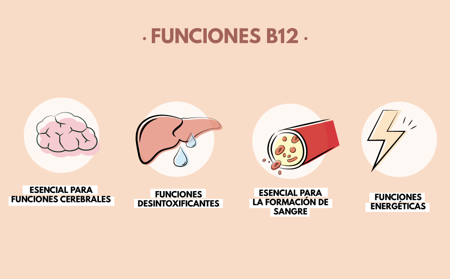 Funciones-vitamina-b12