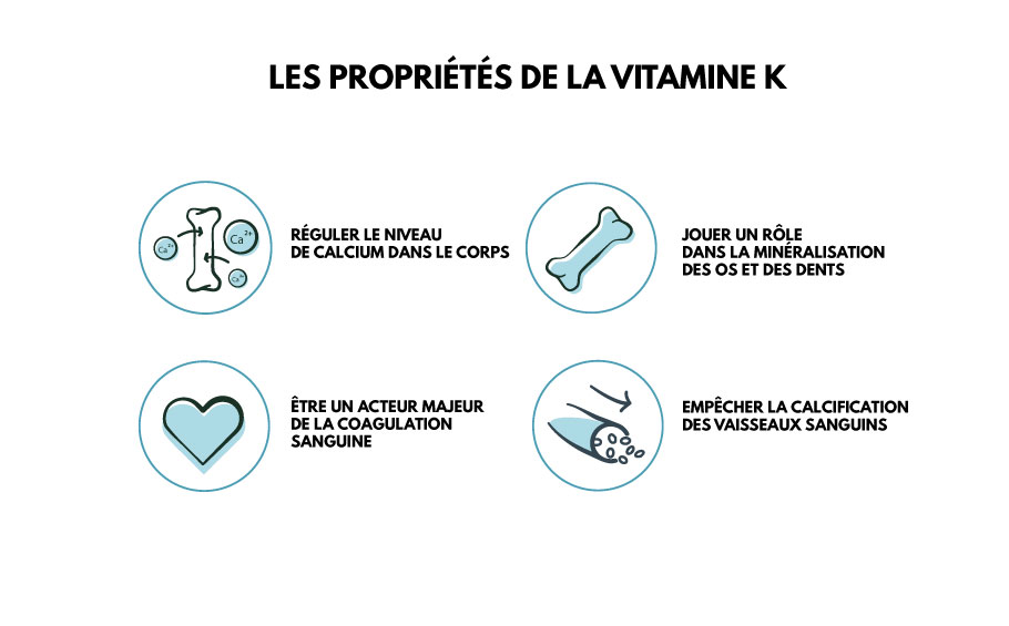 proprietes-vitamine-k2