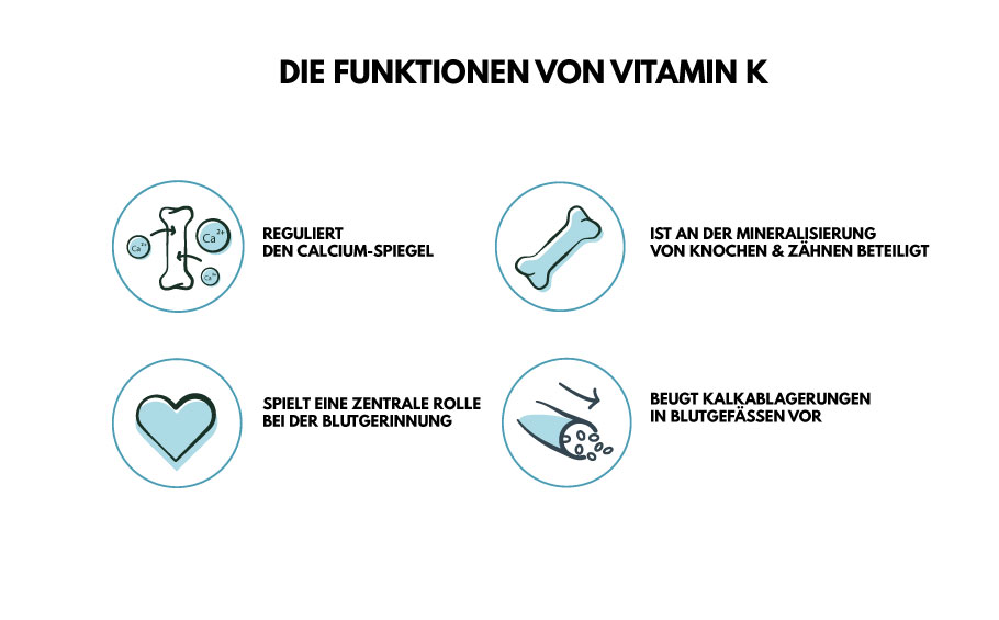 Vitamin K Funktionen