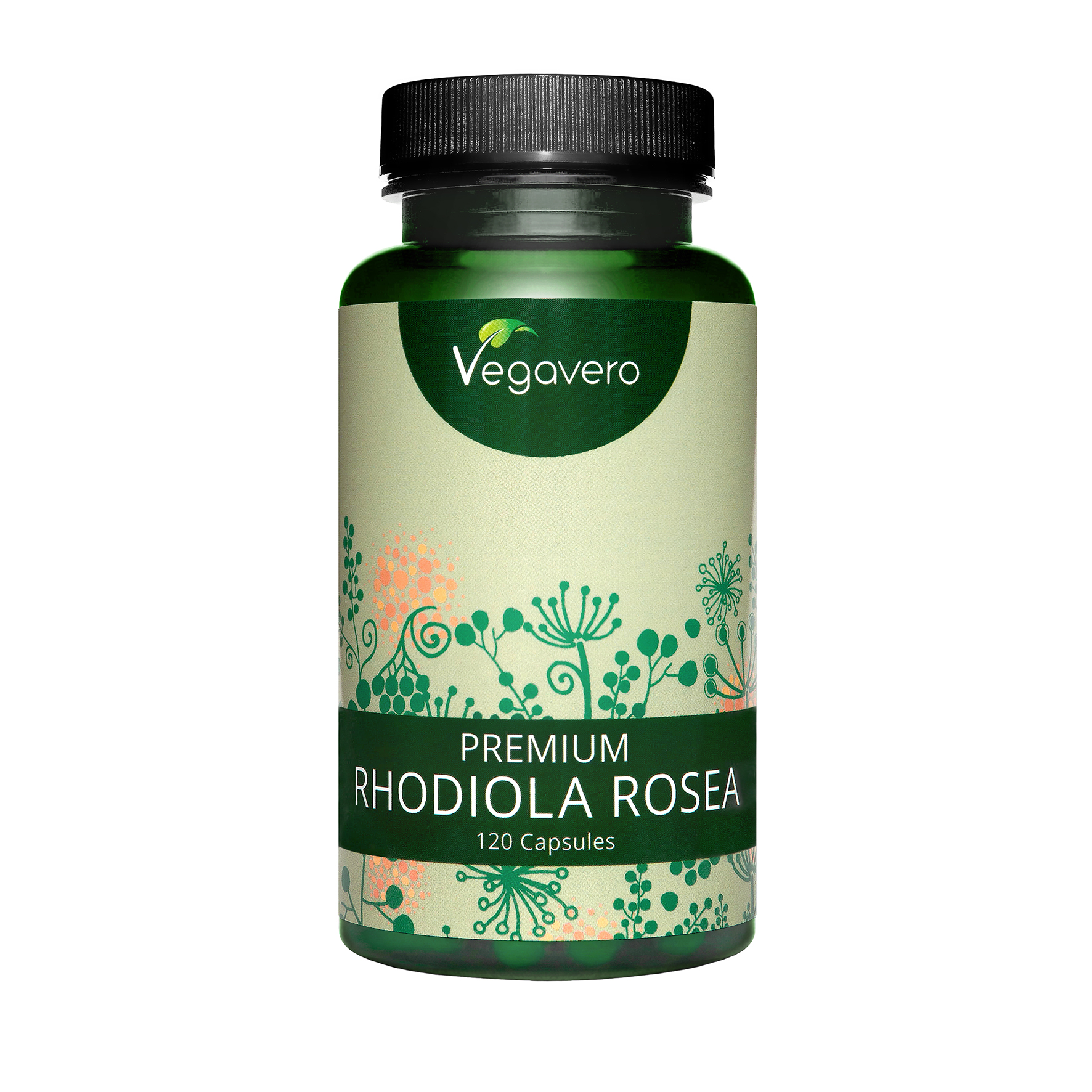 Rhodiola-Rosea-Memoria-Energia